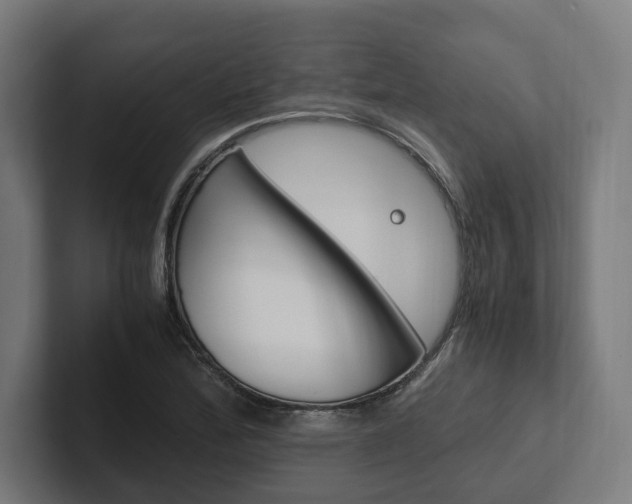 X0000102381172200808010908