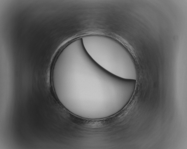 X0000102381174200808010908