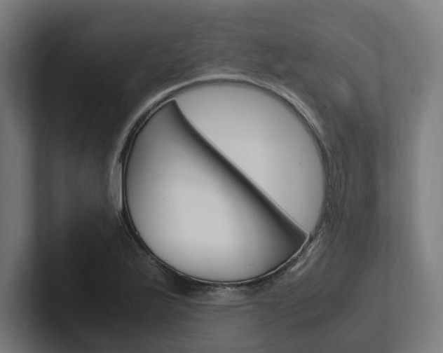 X0000102381175200808010908