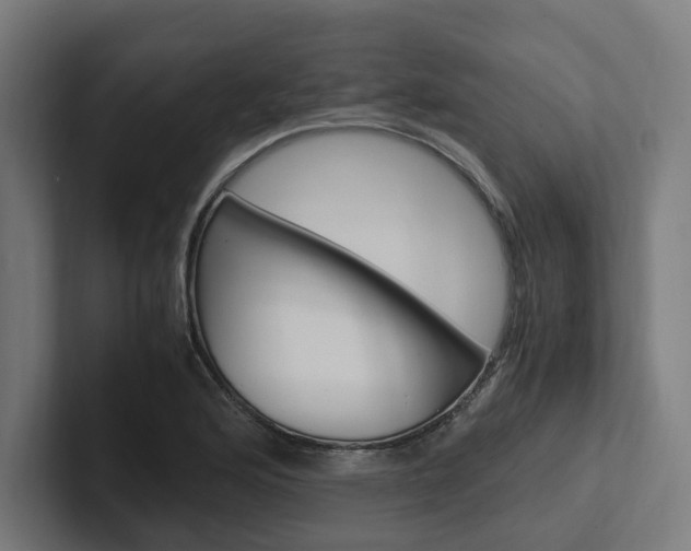 X0000102381176200808010908