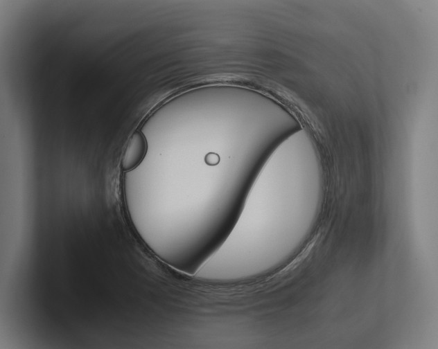 X0000102381177200808010908