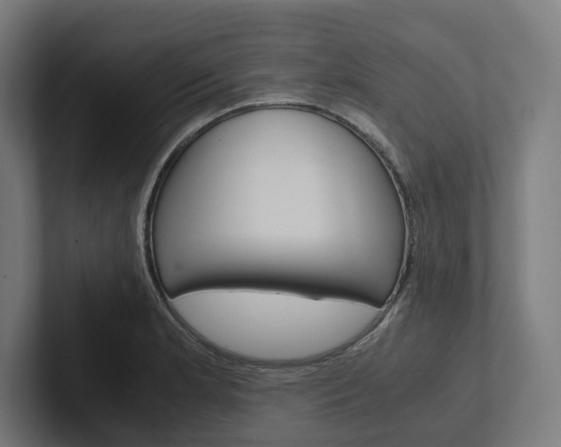 X0000102381181200808010908