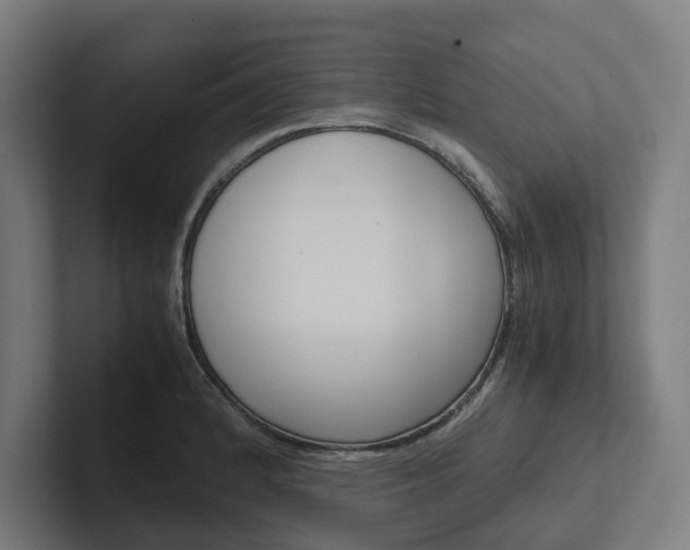 X0000102381184200808010908