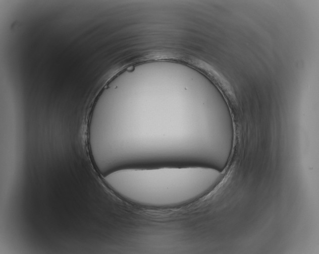 X0000102381185200808010908