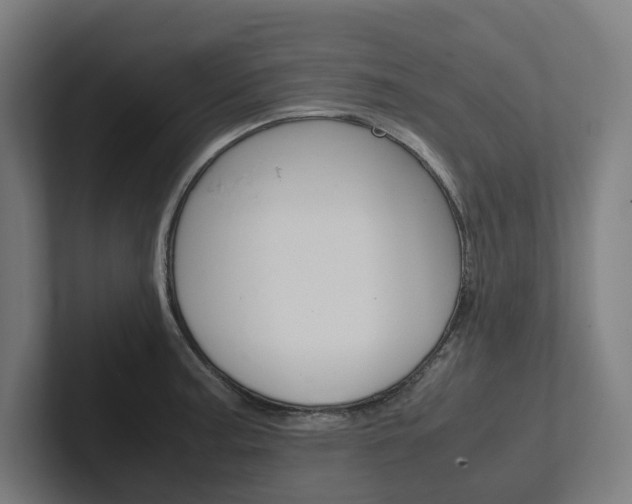 X0000102381187200808010908