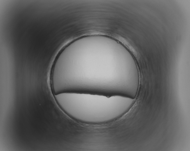 X0000102381189200808010908