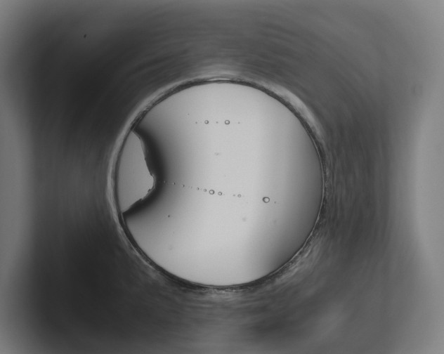 X0000102381191200808010908