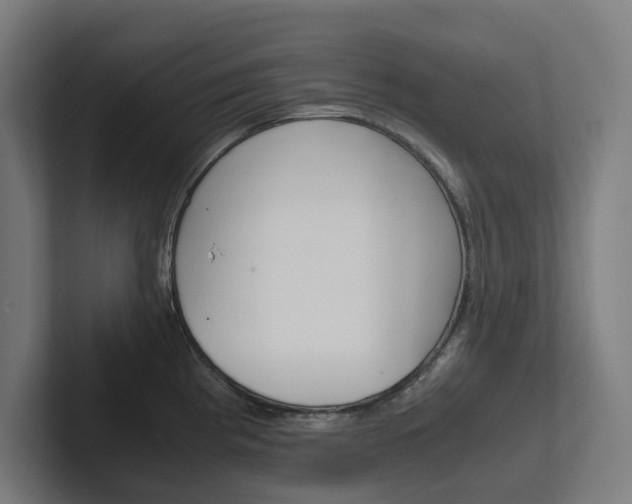 X0000102381193200808010908