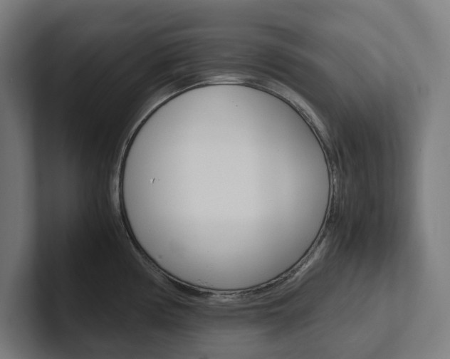 X0000102381194200808010908