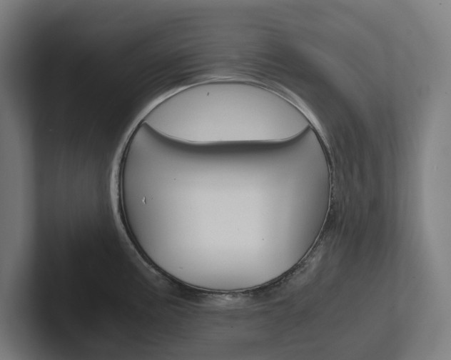 X0000102381195200808010908