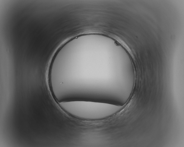 X0000102381197200808010908