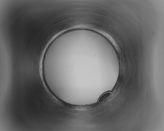 X0000102381199200808010908