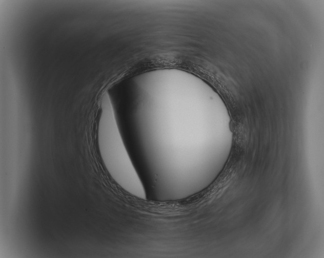 X0000102381201200808010907
