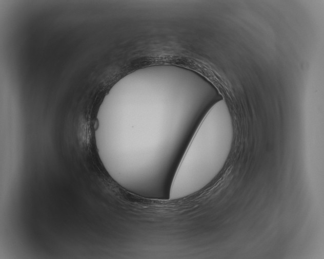 X0000102381204200808010907