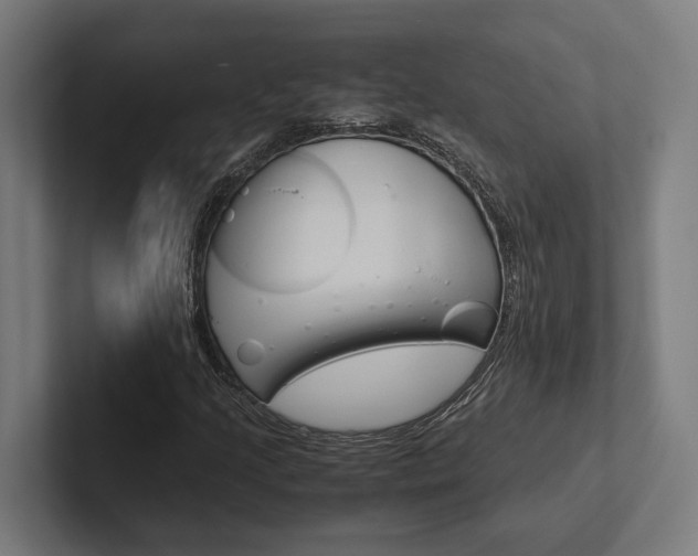 X0000102381205200808010907