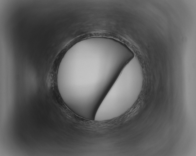 X0000102381208200808010907