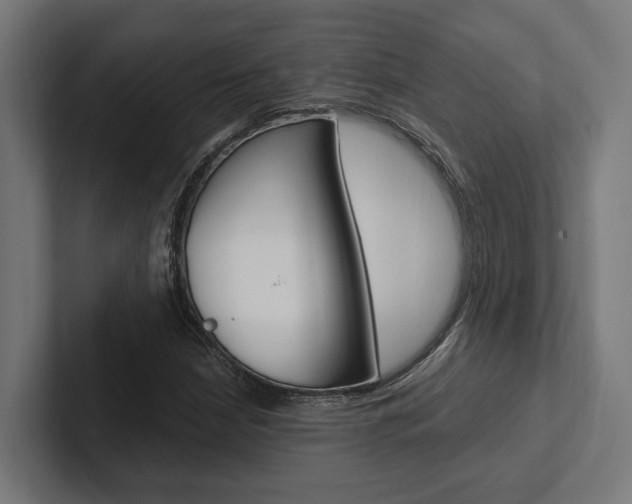 X0000102381210200808010907