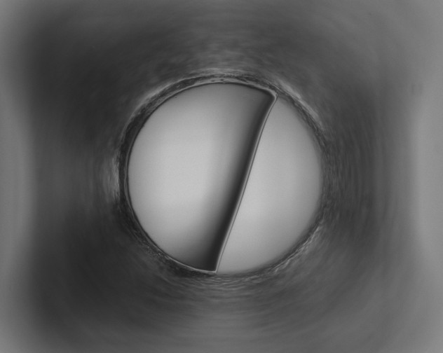 X0000102381214200808010907