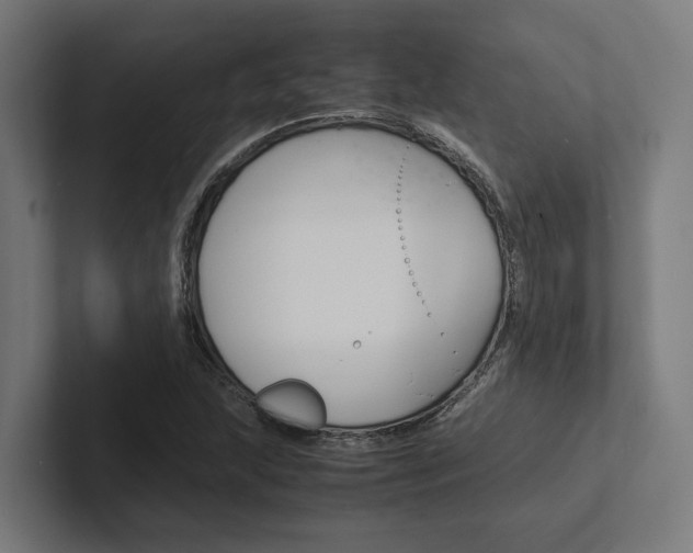 X0000102381215200808010907