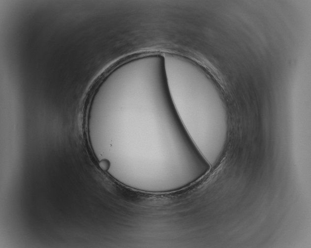 X0000102381216200808010907