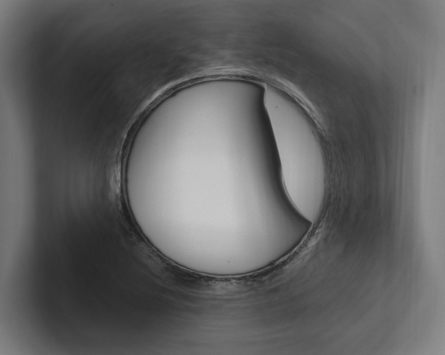 X0000102381220200808010907