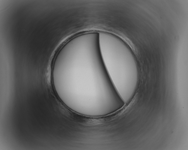 X0000102381224200808010908