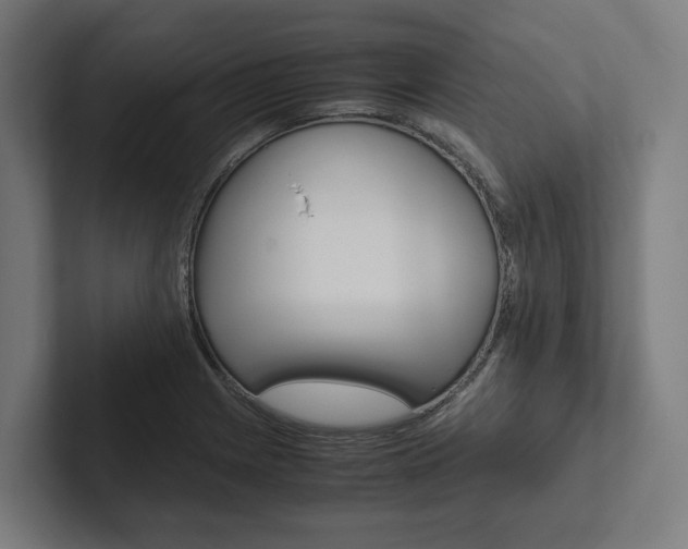 X0000102381225200808010908