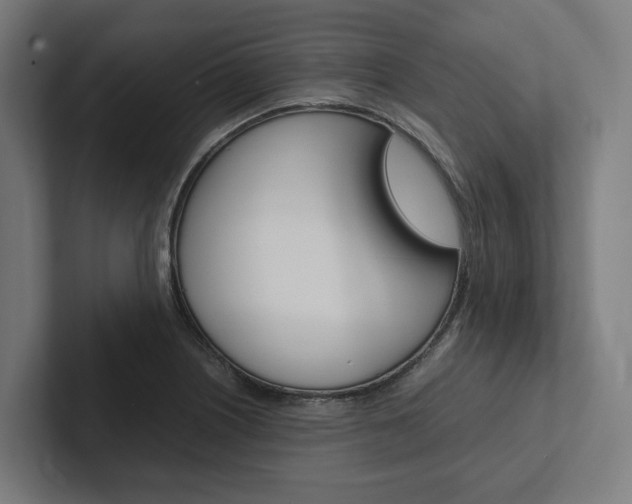 X0000102381226200808010908