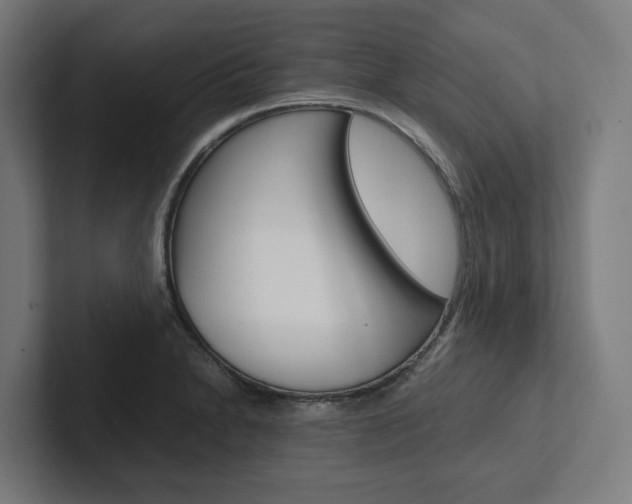 X0000102381230200808010908