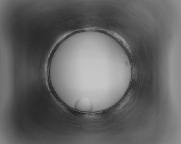 X0000102381231200808010908