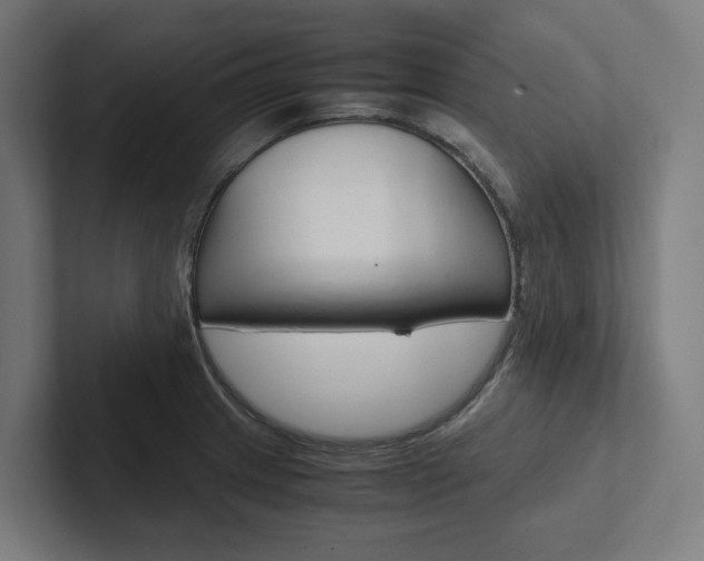 X0000102381233200808010908