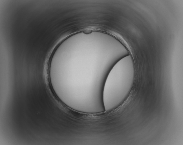 X0000102381235200808010908