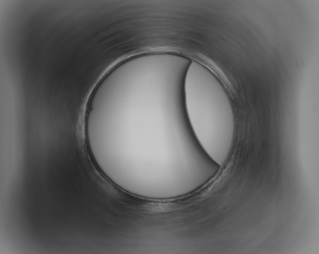X0000102381236200808010908