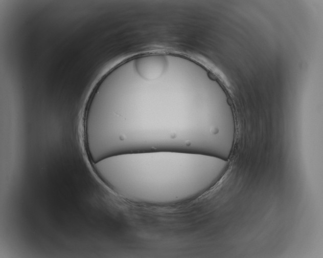 X0000102381239200808010908