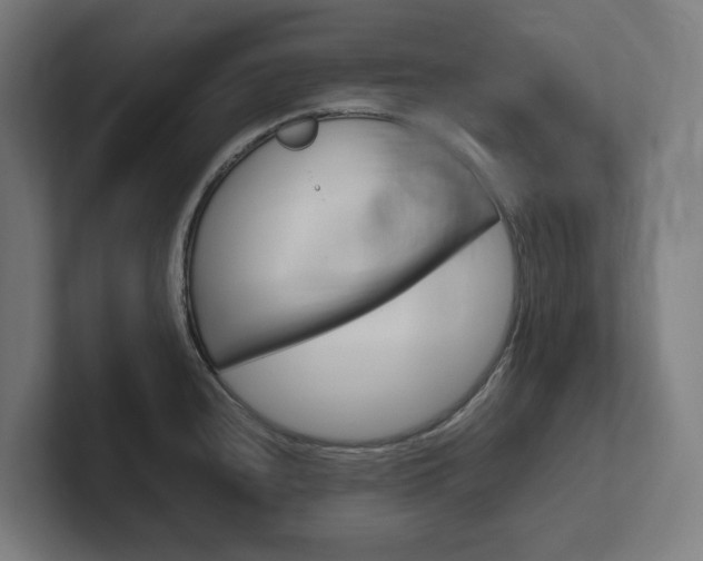 X0000102381240200808010908