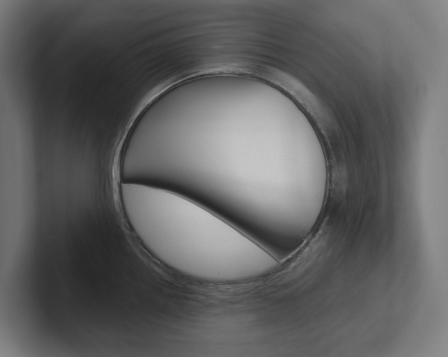 X0000102381242200808010908