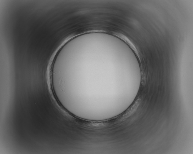 X0000102381243200808010908