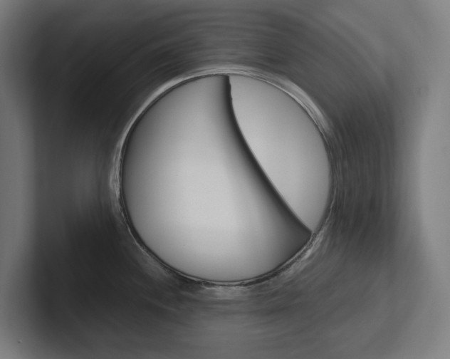 X0000102381244200808010908