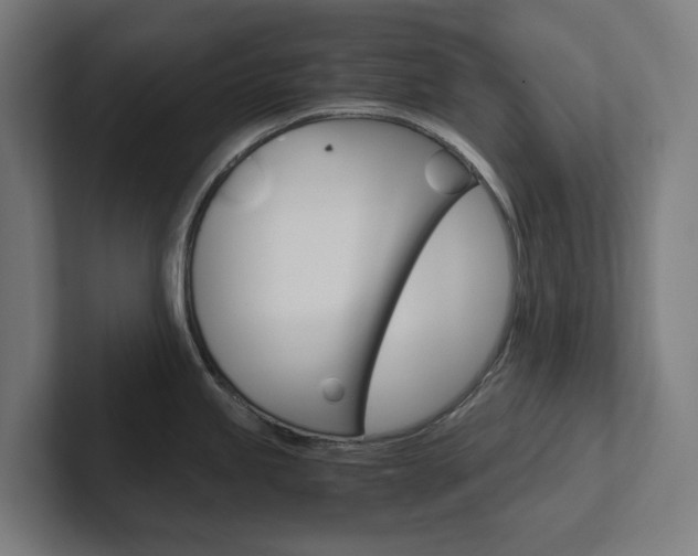 X0000102381245200808010908