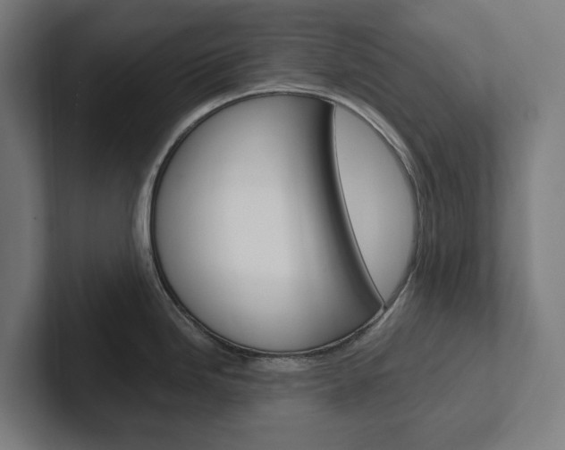 X0000102381246200808010908