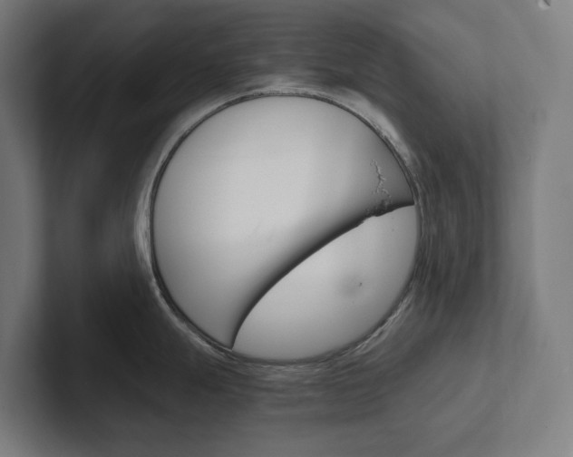 X0000102381247200808010908