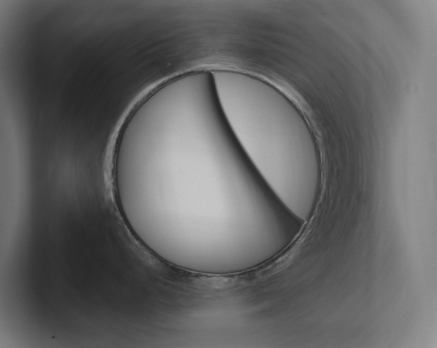 X0000102381248200808010908