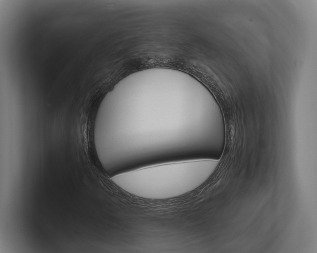 X0000102381250200808010907
