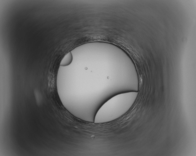 X0000102381251200808010907