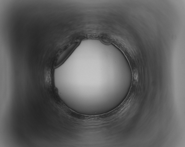 X0000102381252200808010907