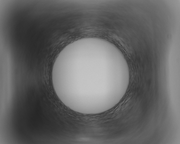 X0000102381253200808010907