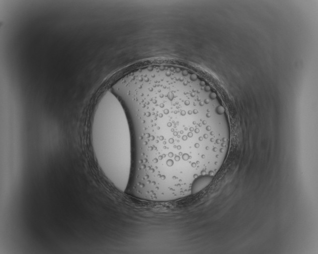 X0000102381255200808010907