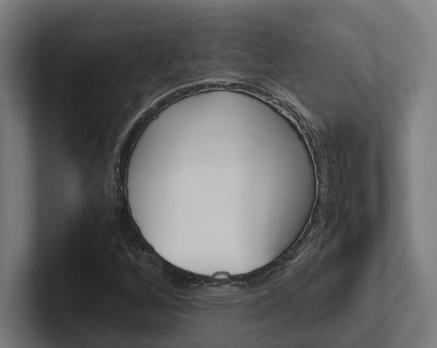 X0000102381256200808010907