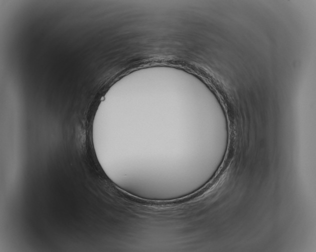X0000102381257200808010907