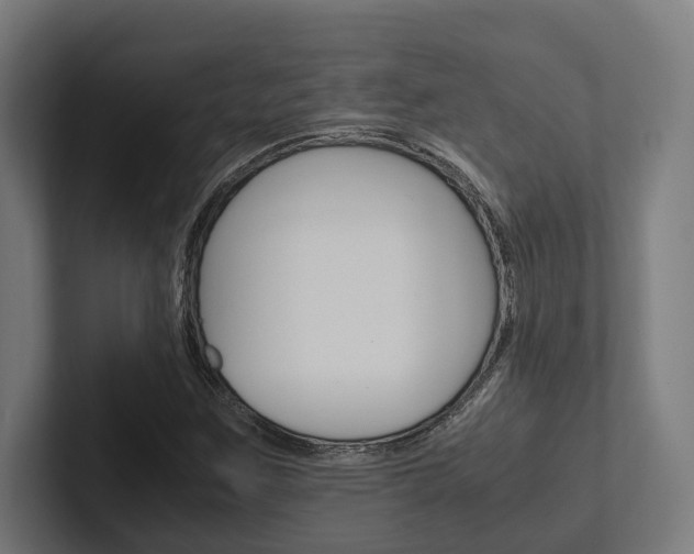 X0000102381259200808010907